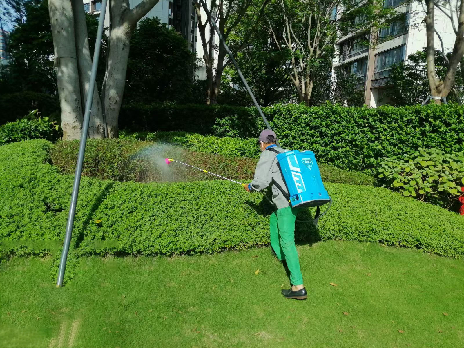 四害消殺服務(wù)