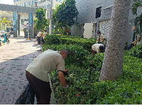 公園保潔工作流程及標(biāo)準(zhǔn)有哪幾個(gè)方面？